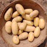 FB_IMG_1710083807741 (1)