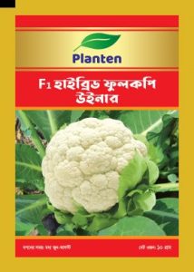 উইনার