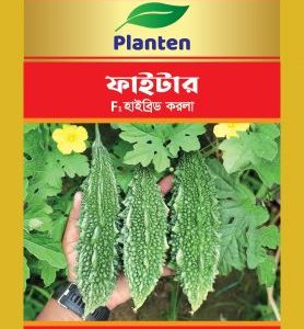 ফাইটার