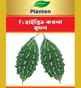 মুঘল
