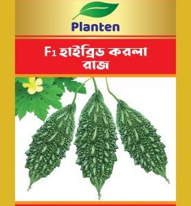 রাজ