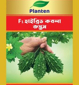 রুস্তম