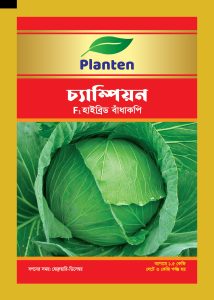 চ্যাম্পিয়ন