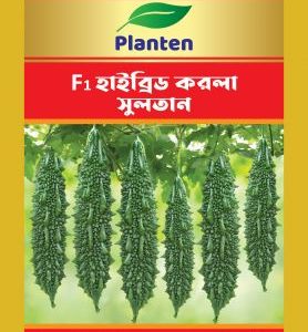 সুলতান