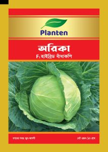 অরিকা