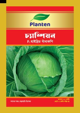 Print