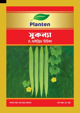 WhatsApp Image 2025-10-15 at 2.56.40 PM (2)