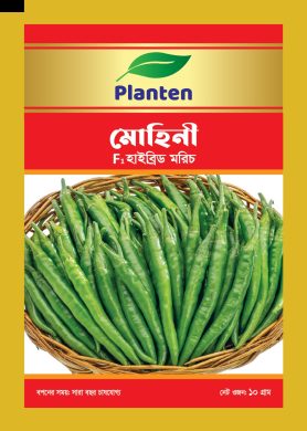 WhatsApp Image 2025-10-15 at 2.56.40 PM (24)