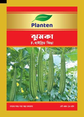 WhatsApp Image 2025-10-15 at 2.56.40 PM (6)