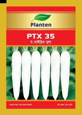 WhatsApp Image 2025-10-15 at 2.56.41 PM (5)